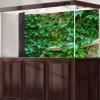 Stone Wall Texture Aquarium Background Green Ivy Old Stone Wall Pattern Fish Tank Background Lush Ivy Reptile Tank Backgrounds Vintage Walls Fresh Green Grass Reptile Enclosure Backgrounds 72x16in view 4