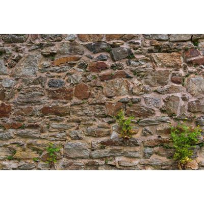 Stone Wall Pattern Aquarium Background Natural Retro Stone Wall Fish Tank Background Moss Lichens Rocky Walls Reptile Tank Backgrounds Vintage Walls Green Grass Reptile Enclosure Backgrounds 30x12in
