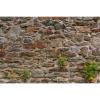 Stone Wall Pattern Aquarium Background Natural Retro Stone Wall Fish Tank Background Moss Lichens Rocky Walls Reptile Tank Backgrounds Vintage Walls Green Grass Reptile Enclosure Backgrounds 30x12in view 1