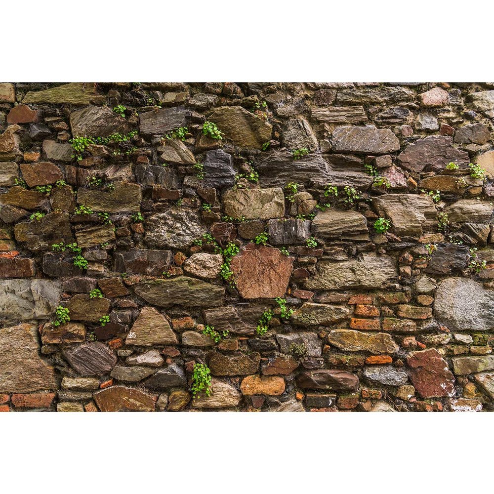 Stone Wall Aquarium Background Natural Retro Old Town Stone Wall Fish Tank Background Moss Lichens Rocky Walls Reptile Tank Backgrounds Vintage Walls Green Grass Reptile Enclosure Backgrounds 30x12in