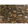 Stone Wall Aquarium Background Natural Retro Old Town Stone Wall Fish Tank Background Moss Lichens Rocky Walls Reptile Tank Backgrounds Vintage Walls Green Grass Reptile Enclosure Backgrounds 30x12in view 1