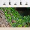 Rough Tree Bark Aquarium Background Lush Ivy Climbs on Tree Bark Fish Tank Background Lush Ivy Reptile Tank Backgrounds Vintage Old Brown Barks Fresh Green Grass Reptile Enclosure Backgrounds 72x24in view 2