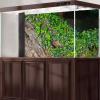 Rough Tree Bark Aquarium Background Lush Ivy Climbs on Tree Bark Fish Tank Background Lush Ivy Reptile Tank Backgrounds Vintage Old Brown Barks Fresh Green Grass Reptile Enclosure Backgrounds 72x24in view 4