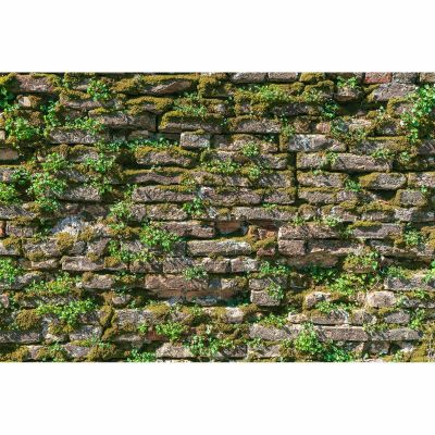 Brick Wall Texture Aquarium Background Natural Old Mossy Brick Wall Fish Tank Background Green Lichens Lush Moss Reptile Tank Backgrounds Vintage Walls Grass Reptile Enclosure Backgrounds 36x20in