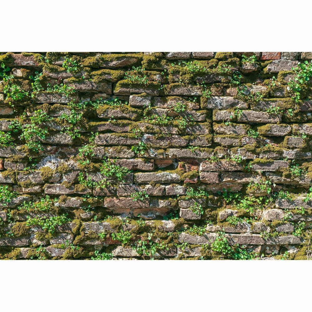Brick Wall Texture Aquarium Background Natural Old Mossy Brick Wall Fish Tank Background Green Lichens Lush Moss Reptile Tank Backgrounds Vintage Walls Grass Reptile Enclosure Backgrounds 36x20in