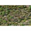 Brick Wall Texture Aquarium Background Natural Old Mossy Brick Wall Fish Tank Background Green Lichens Lush Moss Reptile Tank Backgrounds Vintage Walls Grass Reptile Enclosure Backgrounds 36x20in view 1