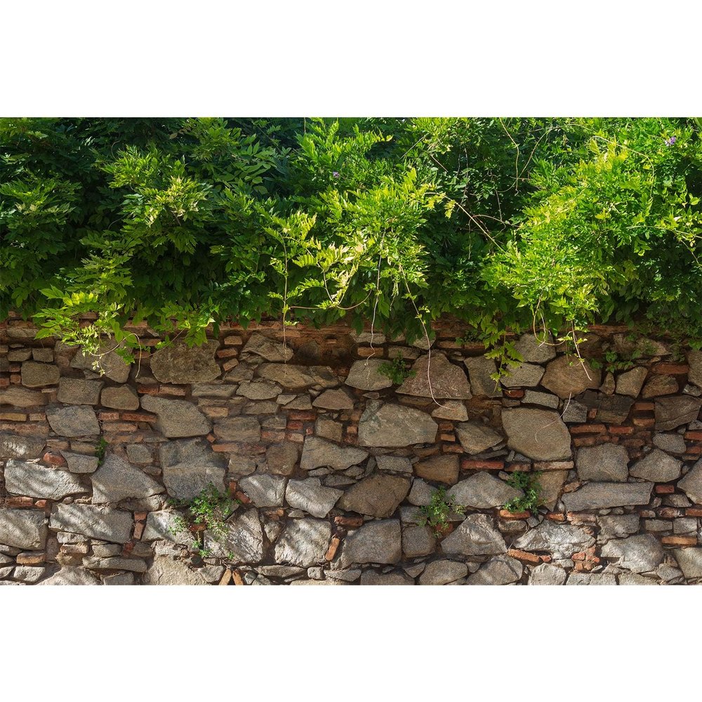 Stone Wall Texture Aquarium Background Natural Retro Brick Stone Wall Fish Tank Background Green Plants Grow Flowers Reptile Tank Backgrounds Vintage Walls Grass Reptile Enclosure Backgrounds 72x24in