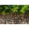 Stone Wall Texture Aquarium Background Natural Retro Brick Stone Wall Fish Tank Background Green Plants Grow Flowers Reptile Tank Backgrounds Vintage Walls Grass Reptile Enclosure Backgrounds 72x24in view 1
