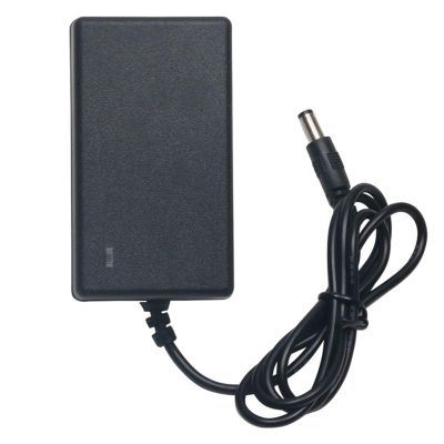 21V 2A Charger 5 Strings 18650 20V 1A Power Adapter(21V-1A+5.5 pin -1 Meter -Ordinary)