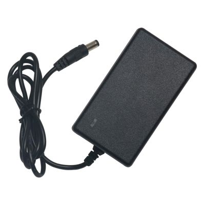 29.4V Charger 7 Strings 18650 Polymer Balance Scooter 25.9V3A8 String Iron Lithium(29.4V-1A+5.5 pin+Cable 2 Meters)