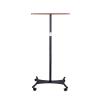 Laptop Floor Stand,Movable Standing Workbench,Adjustable Projector Shelf,Suitable for Home Outdoor Office,Easy to Move(Black) view 1