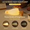 Ataraxiaqna Duck Night Light, Rechargeable Squishy Silicone Nursery Lamp, Kawaii Touch Dimmable Bedside Light, Baby Safe BPA Free Nightlight for Kids Room Decor view 2