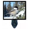 LED Night Light, Chickadee on Snowy Fir Winter Bird Design, Fully Enclosed, Rotating Plug, Glass Front view 1