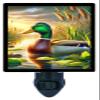 LED Night Light, Setting Sun Mallard Duck Design, Fully Enclosed, Rotating Plug, Glass Front view 1
