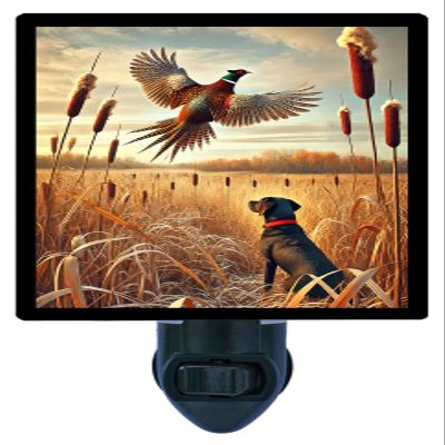 Hunters Gaze Night Light Pheasant Hunting Design, Fully Enclosed, Rotating Plug, Glass Front, 4 Watt Bulb