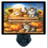 Pumpkins for Sale Night Light Fall Kitten and Pumpkins Design, Fully Enclosed, Rotating Plug, Glass Front, 4 Watt Bulb view 1