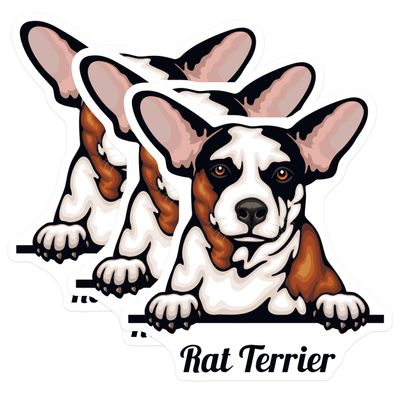 (3 Pack) Rat Terrier Decals - Dog Breed Stickers - Laptop Stickers - 3 Inches On Longest Side - Easy Peel & Apply - Made in USA - 3MCS2989