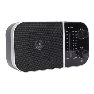 ciciglow Portable AM FM SW Radio, Retro Shortwave Radio Multi Band, Handheld Bluetooth Speaker for Home Use, Outdoor Travel, 3 Power Options (US Plug 110V)