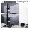 BEGWVDJTP Dual Monitor Vertical Stand with Glass Base, Fits 2 Ultra-Wide Screens up to 34 Inches view 3