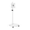 24-43 inch TV cart White Monitor Screen Lift Rolling mounting Bracket Trolley LED LCD Low Height view 1