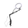 10.24in Ring Light with Overhead Phone Mount, 5cm Heavy Duty Clamp, Dimmable LED Desk Lamp for Makeup, TikTok Videos, YouTube, Live Streaming, Cooking, Online Teaching, Vlog view 3