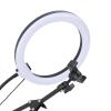 10.24in Ring Light with Overhead Phone Mount, 5cm Heavy Duty Clamp, Dimmable LED Desk Lamp for Makeup, TikTok Videos, YouTube, Live Streaming, Cooking, Online Teaching, Vlog view 4