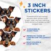 (3 Pack) Rottweiler Decals - Cute Dog - Puppy Peek Animal Stickers - 3 Inches On Longest Side - Easy Peel & Apply - Made in USA - 3MCS8731 view 2