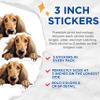 (3 Pack) Afghan Hound Decals - Laptop Decal - Dog Breed Stickers - 3 Inches On Longest Side - Easy Peel & Apply - Made in USA - 3MCS8579 view 2