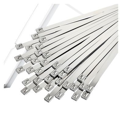 Stainless Steel Wire Ties 100 Pcs 4.6mm 304 Stainless Steel Metal Cable Ties Multifunctional Self-Locking Cable Ties Zip Exhaust Wrap Coated Locking(4.6x600mm-100pcs)
