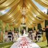 10 Panels 5ft(W) x 20ft(H) Gold Backdrop Curtain for Wedding Parties  20 FT Extra Long Wrinkle Free Shimmer Back Drop Cloth for Valentine's Day, Photography, Birthday, Graduation Background view 1