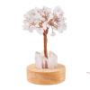 Lumisoul Natural Crystal Money Tree Night Light with Clear Quartz Point DIY Healing Lamp for Bedside and Home Dcor (Clear Quartz) view 1