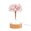 Lumisoul Natural Crystal Money Tree Night Light with Clear Quartz Point DIY Healing Lamp for Bedside and Home Dcor (Rose Quartz) view 1