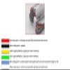 1pcs High Torque JGA25-370 DC Gear Motor with Encoder - Miniature Geared Motor | 6-2000 RPM/6-24V/3W Powe/Adjustable Speed(280RPM 6v) view 3