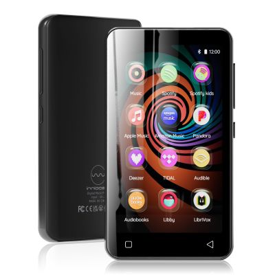 Music Player with Bluetooth Gray