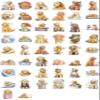 100 PCS Goldendoodle Stickers Pack Waterproof Dog Decals for Water Bottles, Laptops, Phones, Notebook, Cars Cool Vibrant Graphics for Golden Doodle Enthusiast view 2