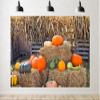 10x6.5ft Fall Pumpkin Backdrop Autumn Harvest Ripe Pumpkins Patch Marrows with Rick Background for Thanksgiving Day Baby Shower Birthday Party Decoration Photo Booth Props Fabric view 1