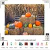 10x6.5ft Fall Pumpkin Backdrop Autumn Harvest Ripe Pumpkins Patch Marrows with Rick Background for Thanksgiving Day Baby Shower Birthday Party Decoration Photo Booth Props Fabric view 3