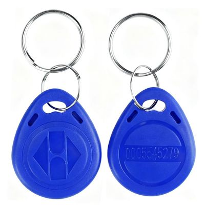 Uoonner 125KHz RFID Keychain Proximity ID Card Token Tag Keypad Card for Access Control System Security Lock Wholesale, Read Only (Blue) (20)