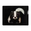 Cute Skunk Print Carpet 63x48in Bedroom Rug Non-Slip Area Rugs for Living Room view 1