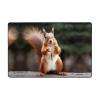 Squirrel Funny Animal Print Carpet 72x48in Bedroom Rug Non-Slip Area Rugs for Living Room view 1