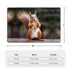 Squirrel Funny Animal Print Carpet 72x48in Bedroom Rug Non-Slip Area Rugs for Living Room view 3