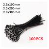 100pcs Self-Locked Nylon Cable Tie Plastic Wire Zip Ties Sets Fixed Binding Electric Wire Wrap Tie 2.5x100 2.8x300(3.6x150mm) view 2