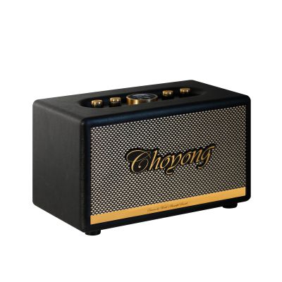 CHOYONG Maestro C2 WiFi Speaker Wireless Bluetooth Smart Speaker,Three-Way Speaker System,Internet Radio Global Station,Record Player Compatible with RCA Input,Choyoung C2