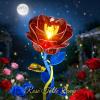 JAKI Rose Table Lamp Building Set with Light, Princess Flower Desk Lamp Toy Set,Flowers Rose Home Decor, Birthday Gifts for Adults Women Boys Girls 8-12+ view 2