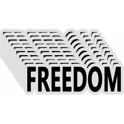 10 Pack Charlie Kirk Freedom Stickers Laptop Bumper Decal Window Waterproof Car Stickers