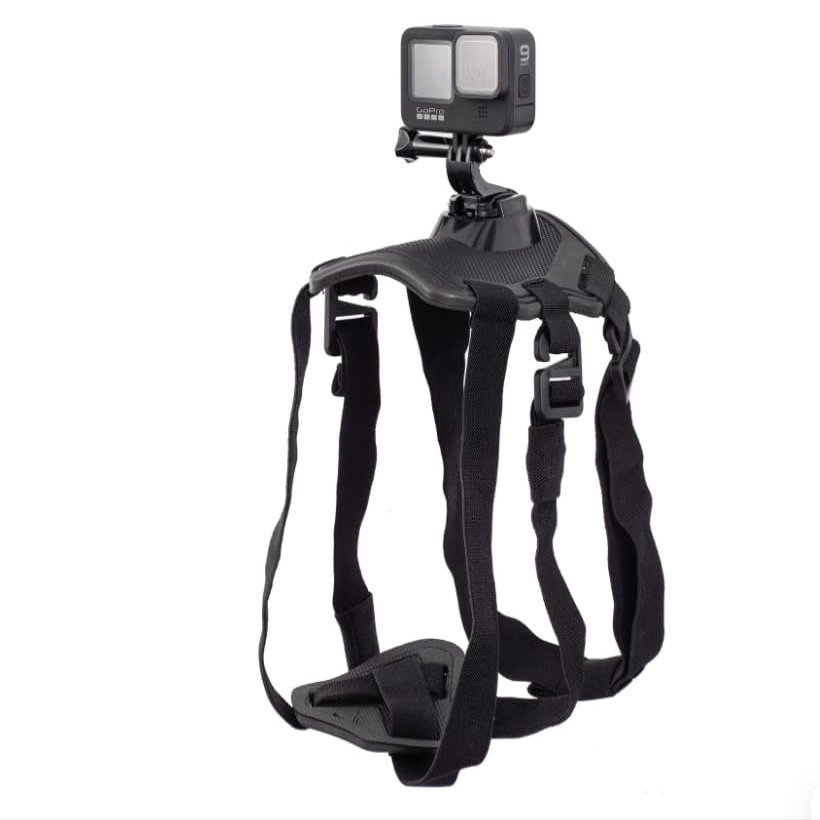 Action Camera Pet Dog Harness (Hero10/9/8/7 Compatible): Combined Chest Strap & Back Strap Style