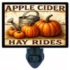 Apple Cider and Hay Rides Night Light Rustic Farmhouse Autumn Dcor Lamp with Pumpkins, Rotating Plug, Switchable Insert, Fall Country Style view 1