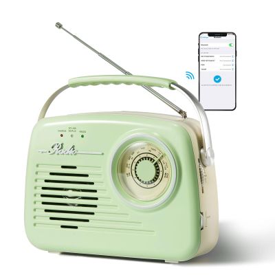 Bingxue Portable Bluetooth FM/AM Retro Radios