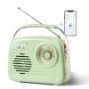 Bingxue Portable Bluetooth FM/AM Retro Radios view 1