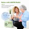 Bingxue Portable Bluetooth FM/AM Retro Radios view 3